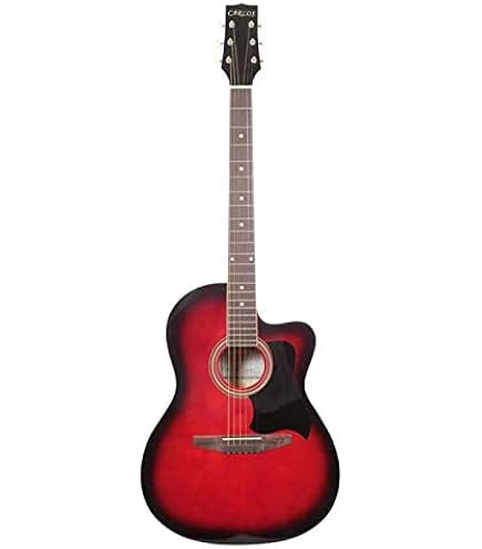 Carlos Acoustic Guitar Include Soft Case (C901 - Black): Buy